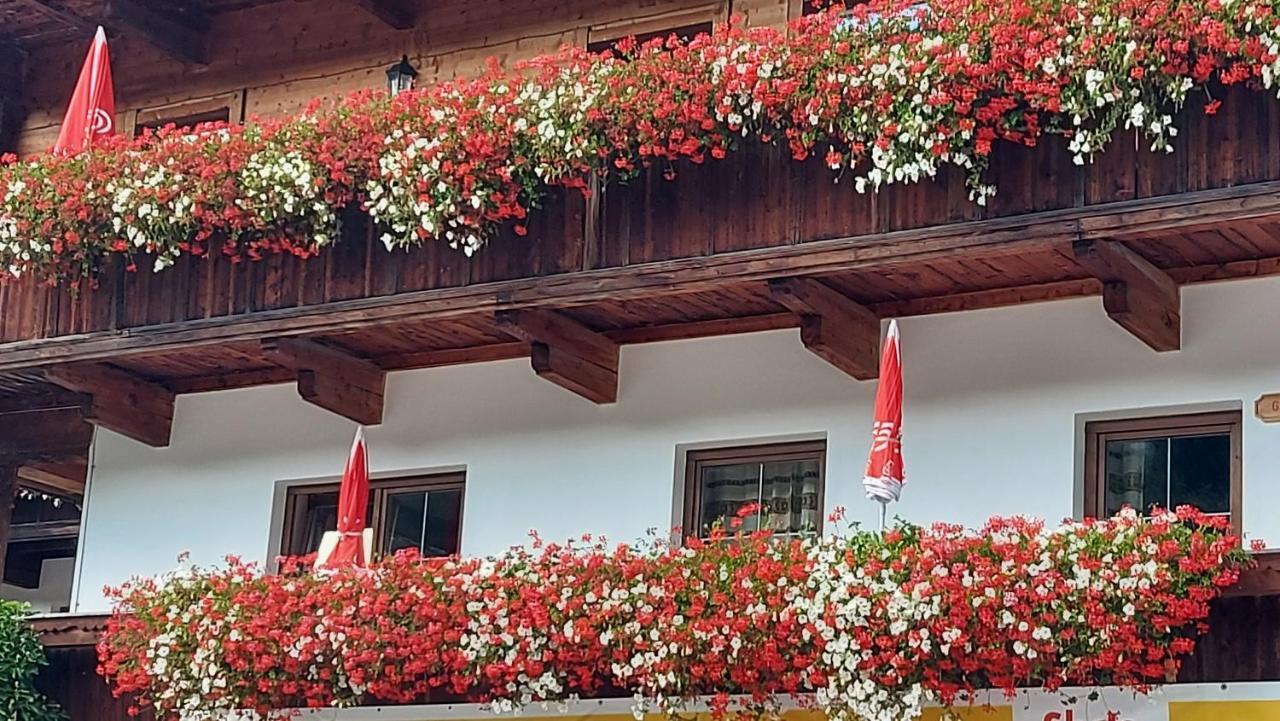 Appartements Zellner Alpbach Εξωτερικό φωτογραφία