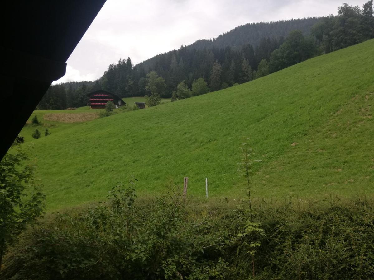 Appartements Zellner Alpbach Εξωτερικό φωτογραφία