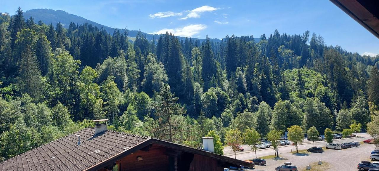 Appartements Zellner Alpbach Εξωτερικό φωτογραφία