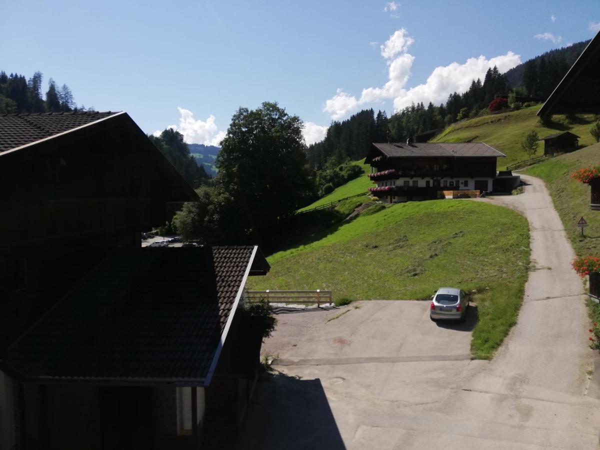 Appartements Zellner Alpbach Εξωτερικό φωτογραφία