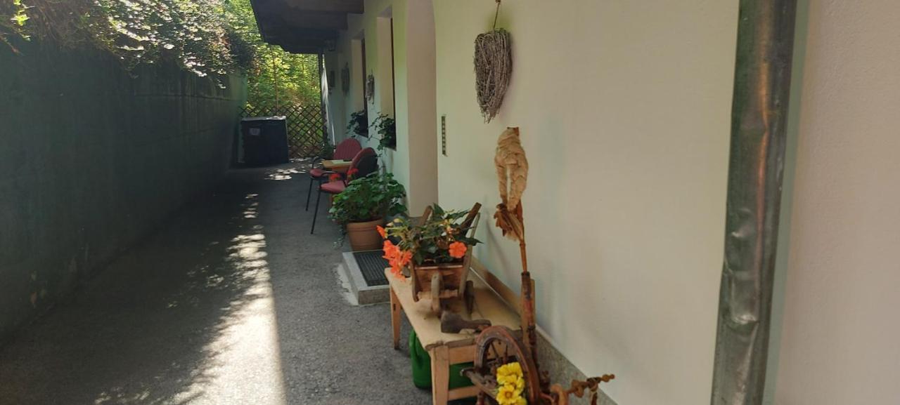 Appartements Zellner Alpbach Εξωτερικό φωτογραφία